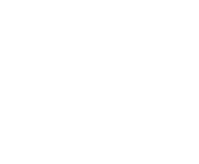 Evolution games at Bonus Spins Mania Casino